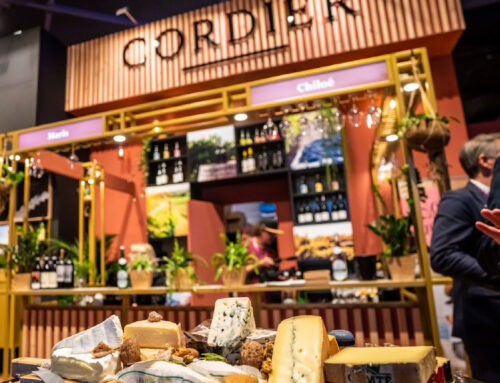 Gastvrij Rotterdam| CORDIER