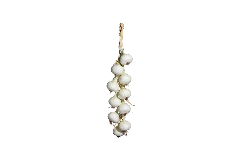 Deco | Uienstreng met 10 bollen L55