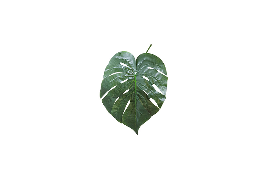 Kunstblad | Monstera L40