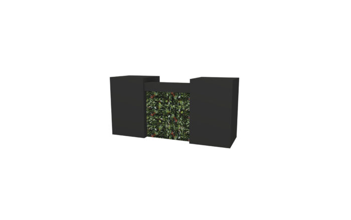 Kaapstad bar L260 (basis L100) - Afbeelding 3