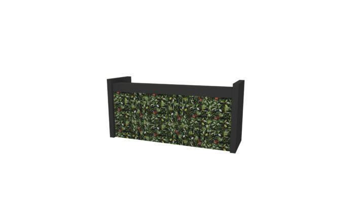 Kaapstad bar L270 (basis L250) - Afbeelding 2