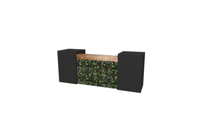 Kaapstad bar L320 (basis L160) - Afbeelding 5