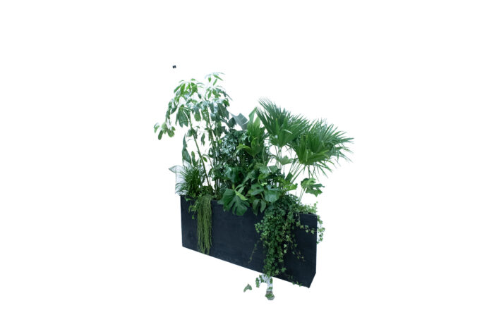 Kaapstad plantenbak driehoek - incl. planten L200xB97,5xH80