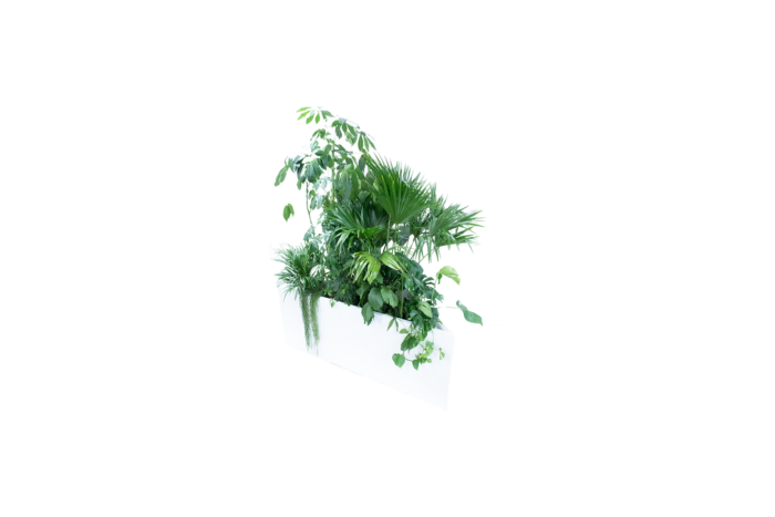 Kopenhagen plantenbak driehoek - incl. planten L200xB97,5xH80