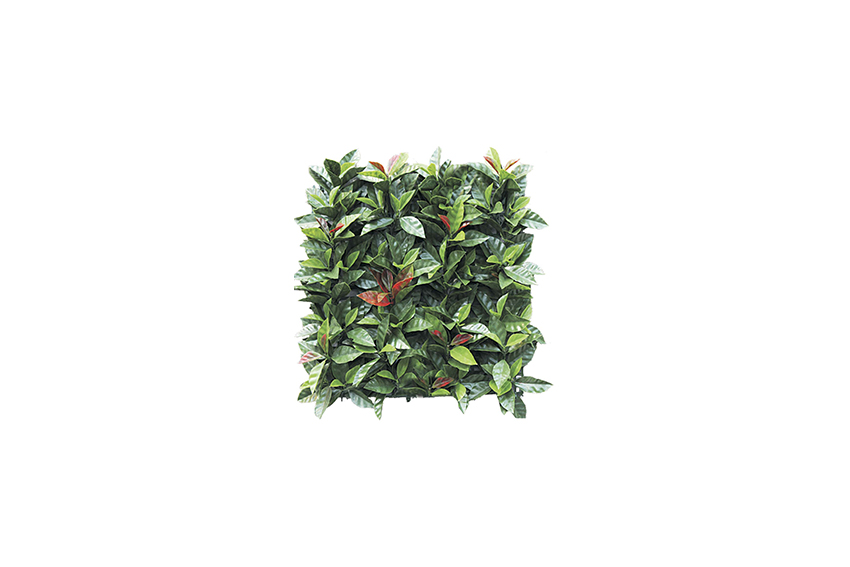 Kunstplant | Haag paneel groen Photinia rood L50xB50