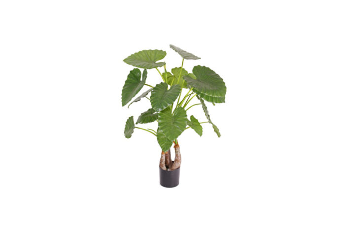 Kunstplant | Alocasia H120