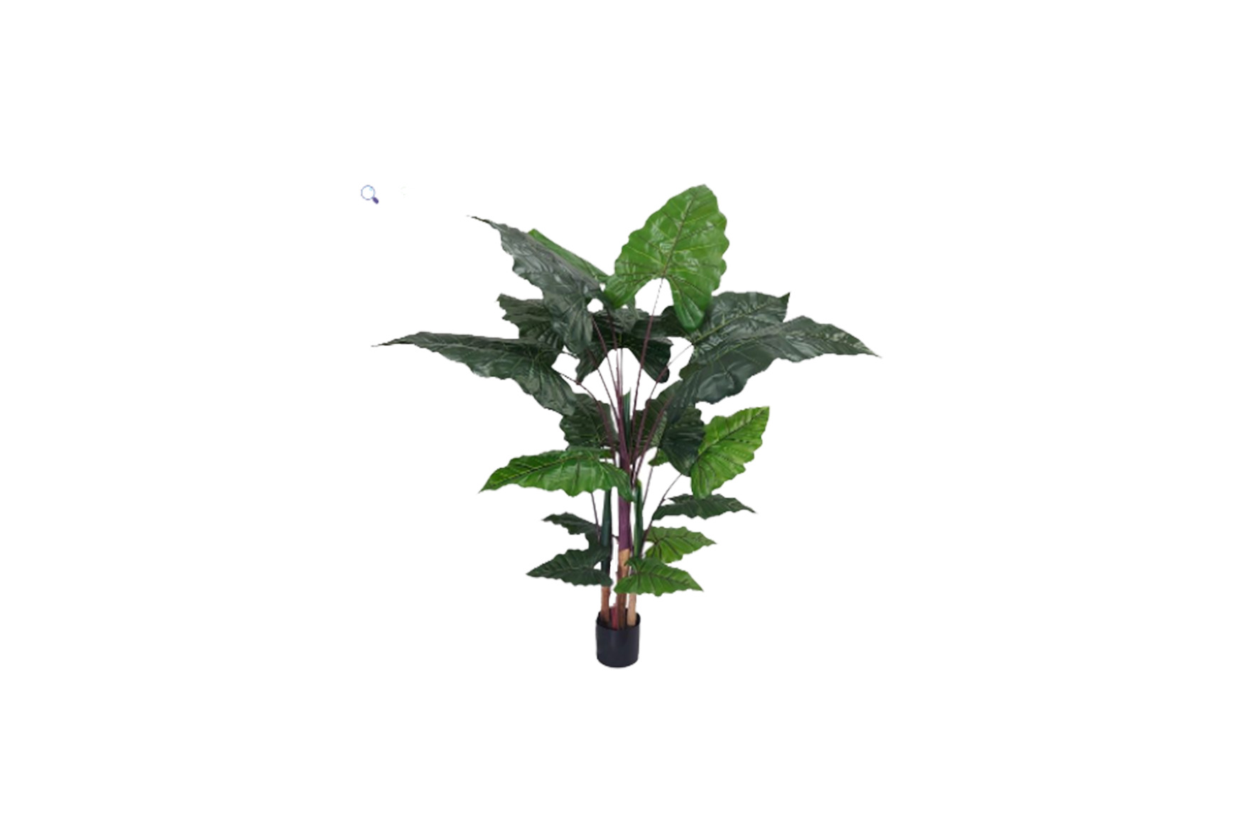 Kunstplant | Alocasia H155