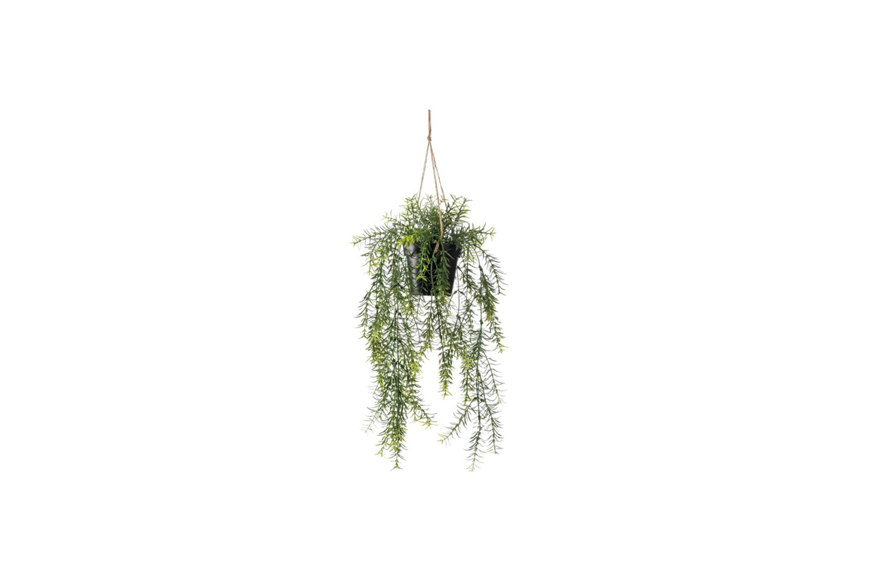 Kunstplant | Asparagus hangplant H50