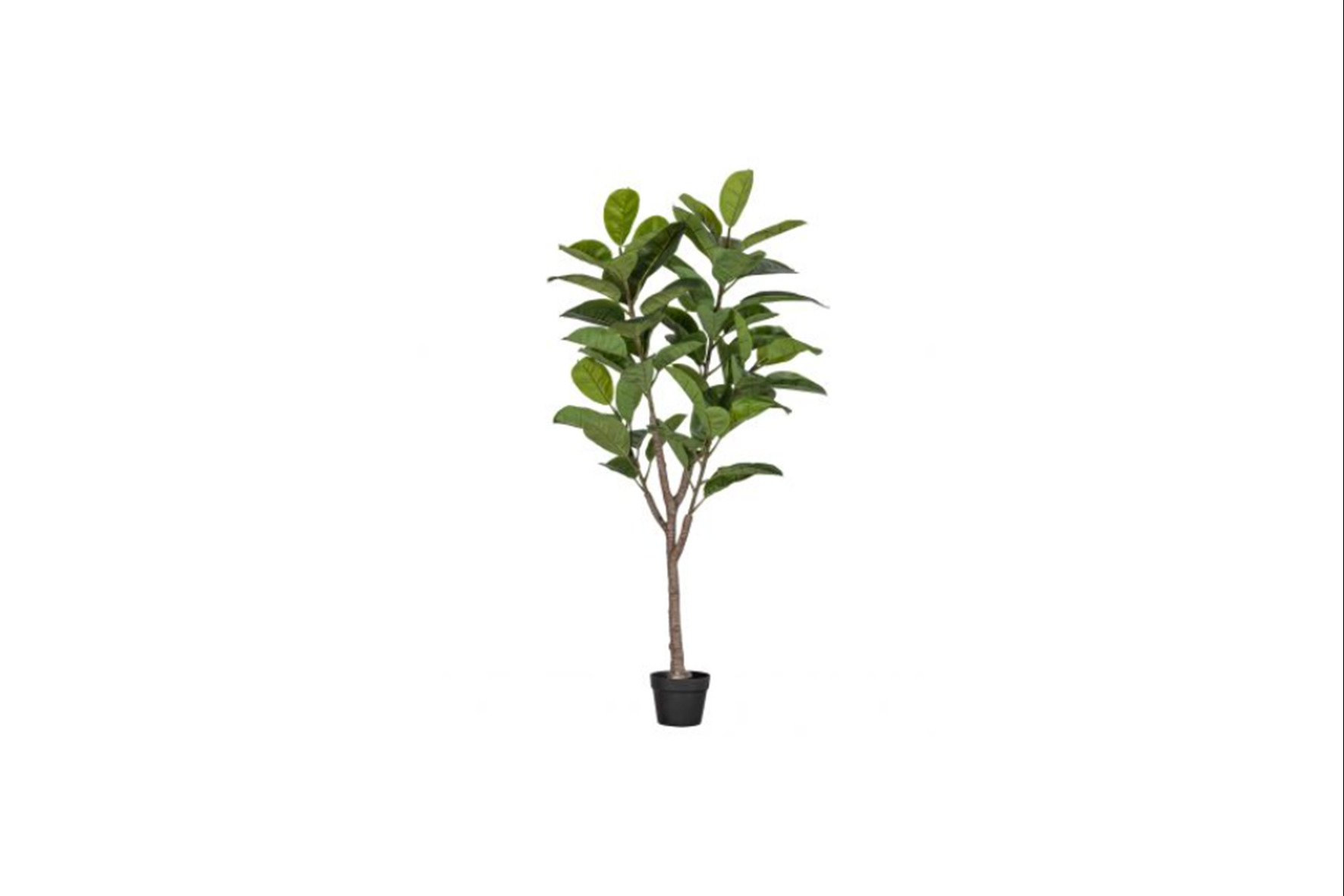 Kunstplant | Rubberboom H135