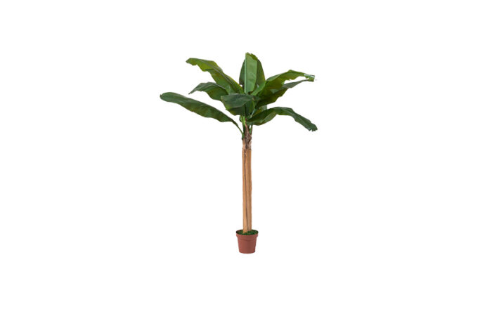 Kunstplant | Bananenboom in pot (diverse maten) - Afbeelding 3