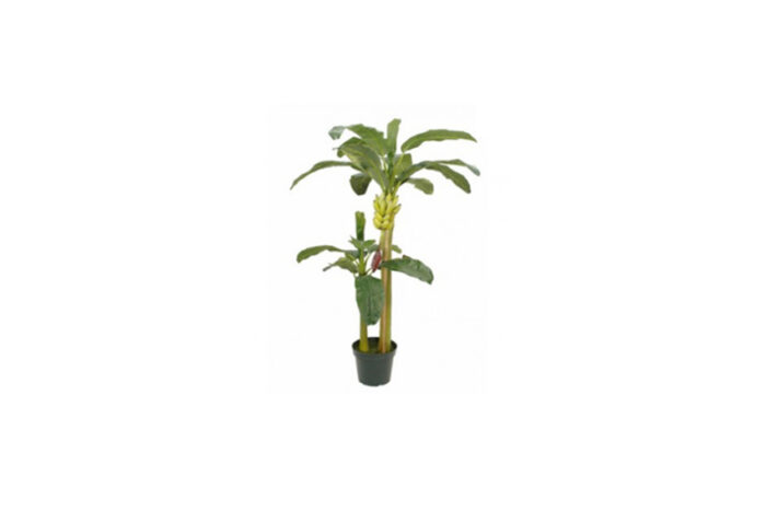 Kunstplant | Bananenboom in pot (diverse maten) - Afbeelding 4