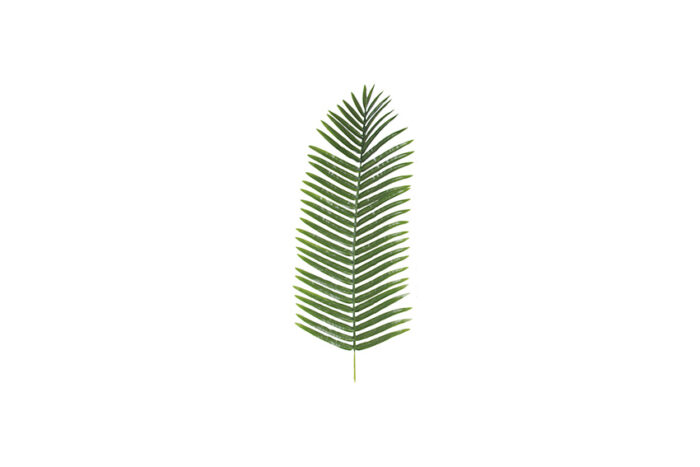 Kunstblad | Palmblad zijde L100