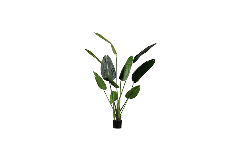 Kunstplant | Strelitzia H165