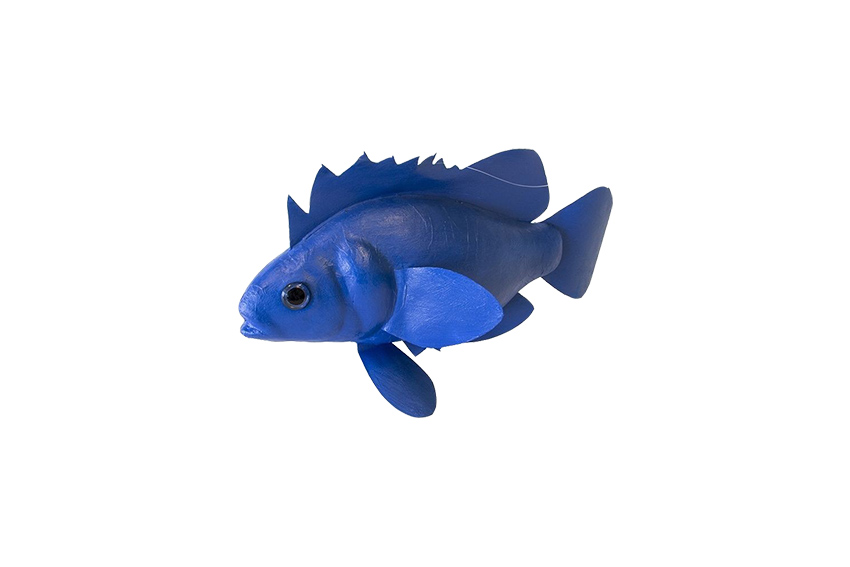 Deco | Tropische vis blauw kunststof L40xB20xH12