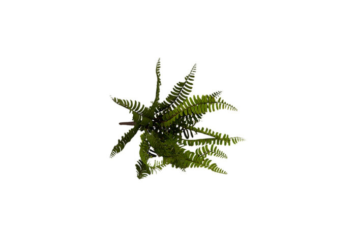 Kunstplant | Varens zijde klein - Image 2