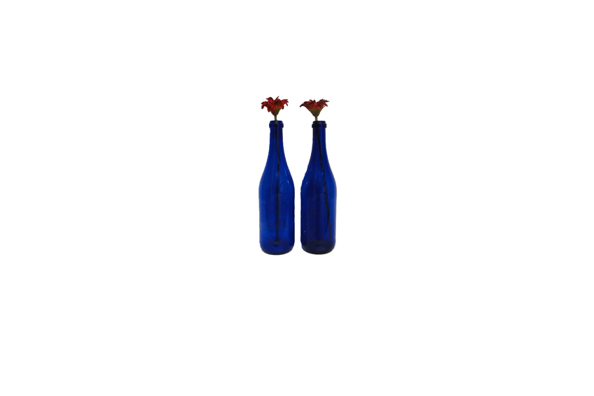 Vaas | Fles blauw H30