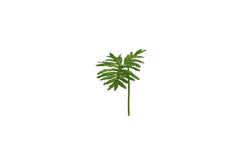 Kunstblad | Philodendron selloum ‘Sapa’ large L90