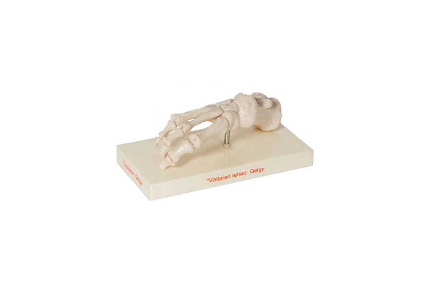 Vintage anatomisch model skelet voet L21xB10xH8,5