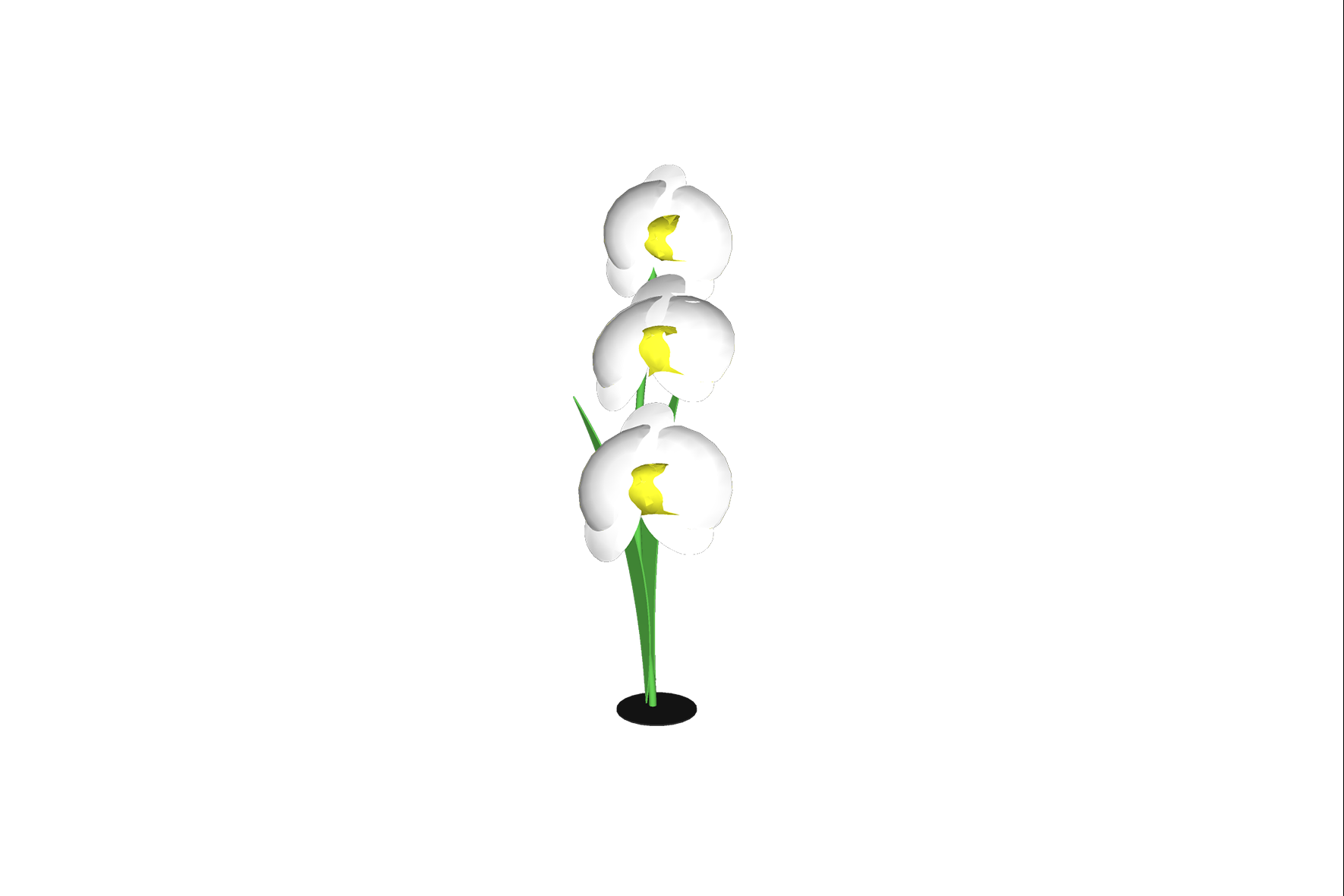 Bloem Orchidee XL H350