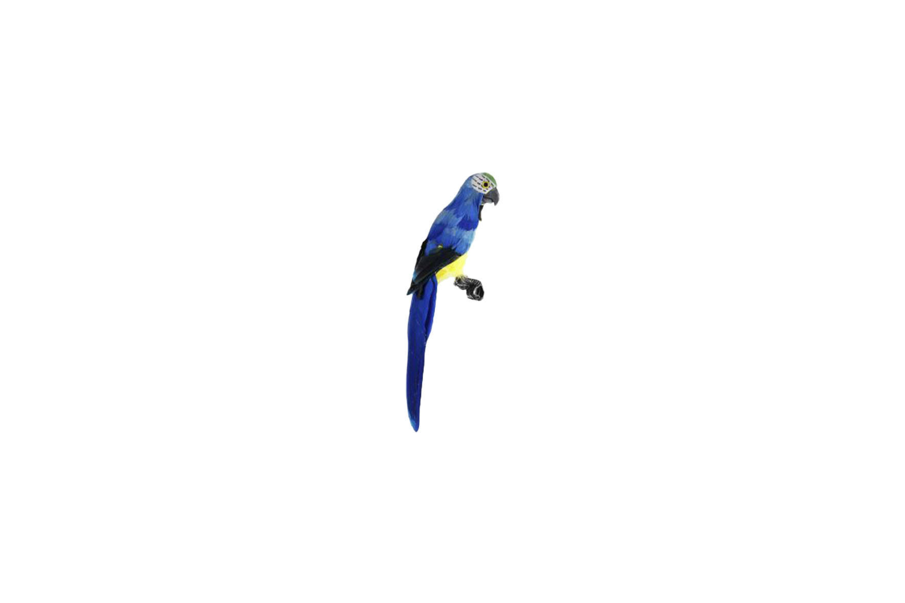 Deco | Papegaai blauw H30