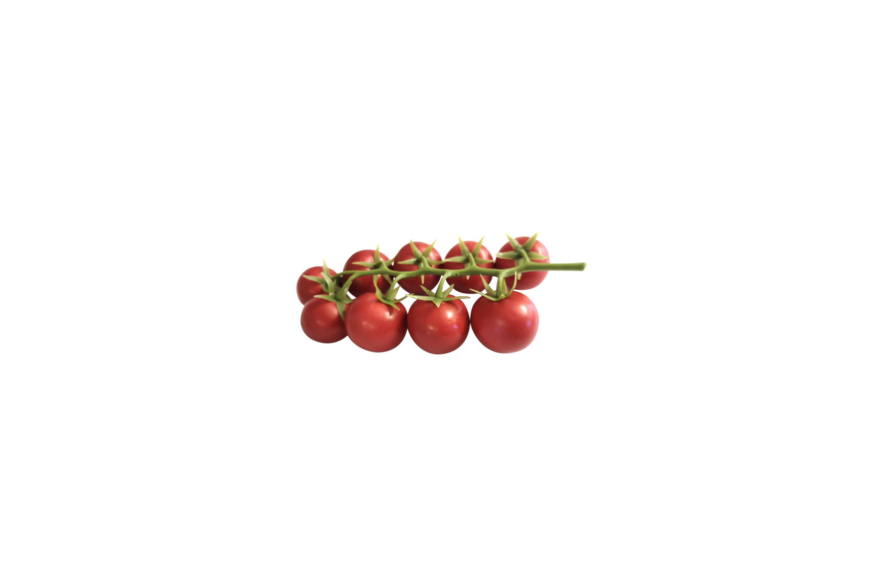 Deco | Streng trostomaten
