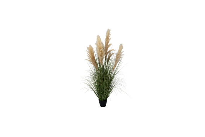 Kunstplant | Pampasgras crème H150